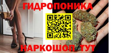 дживик Гай