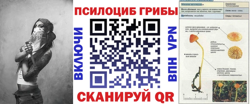 Псилоцибиновые грибы MAGIC MUSHROOMS  дарнет шоп  Тихорецк 