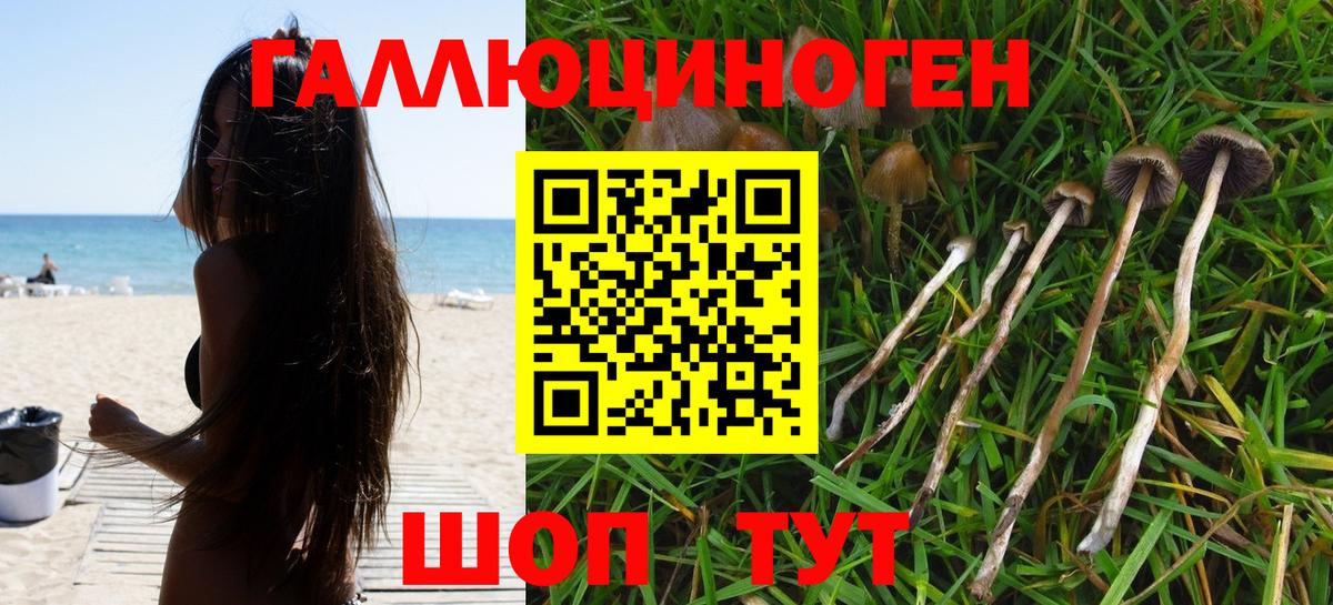 Галлюциногенные грибы Psilocybe  Псилоцибиновые грибы ЛСД  Тихорецк  Вход с VPN 